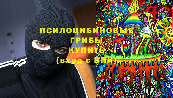 круглые Алзамай