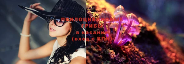 круглые Алзамай