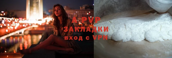apvp Алексин