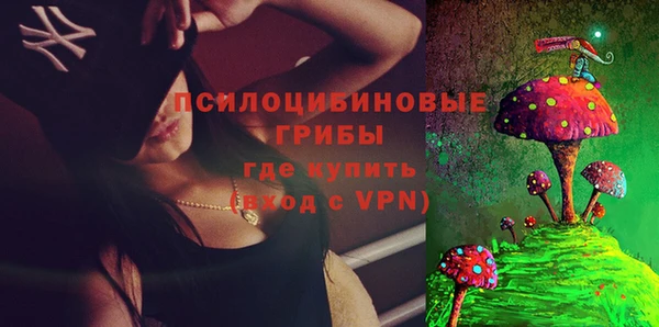 круглые Алзамай